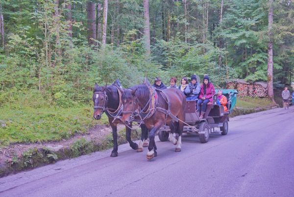 スイス・トップオブヨーロッパ「5ヶ国周遊🇪🇺job⚑⁎∗」の写真：22nd Sep. 2016 pic📷
...