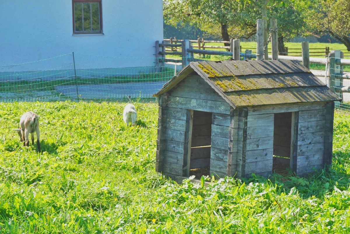 22nd Sep. 2016 pic📷

Wieskirche⛪️
ヴィー...