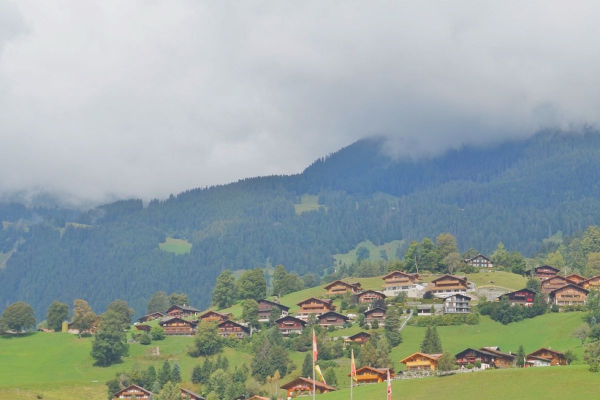 20th Sep. 2016 pic📷

Grindelwald
グリンデ...