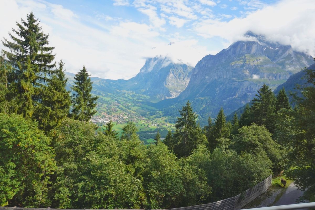 20th Sep. 2016 pic📷

登山鉄道乗車中🚃⸒⸒


Gri...