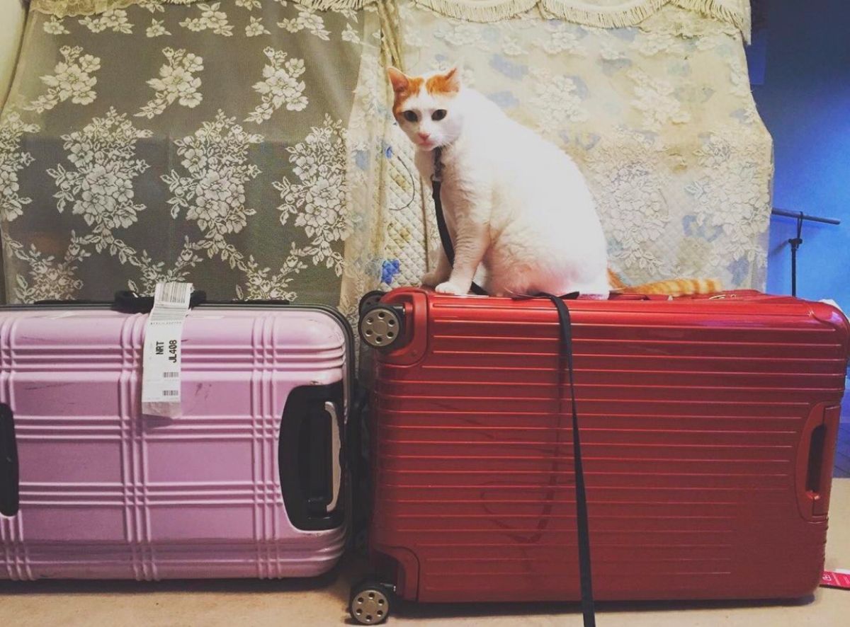 24th Sep. 2016 pic📷

🇩🇪*⋆✈🇯🇵

チャミさんただ...