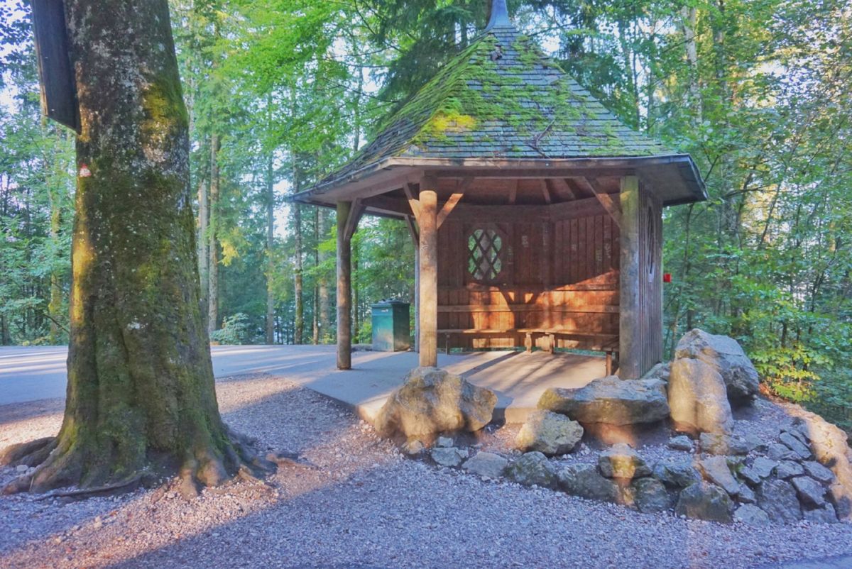 22nd Sep. 2016 pic📷

ノイシュバンシュタイン城🏰までの...