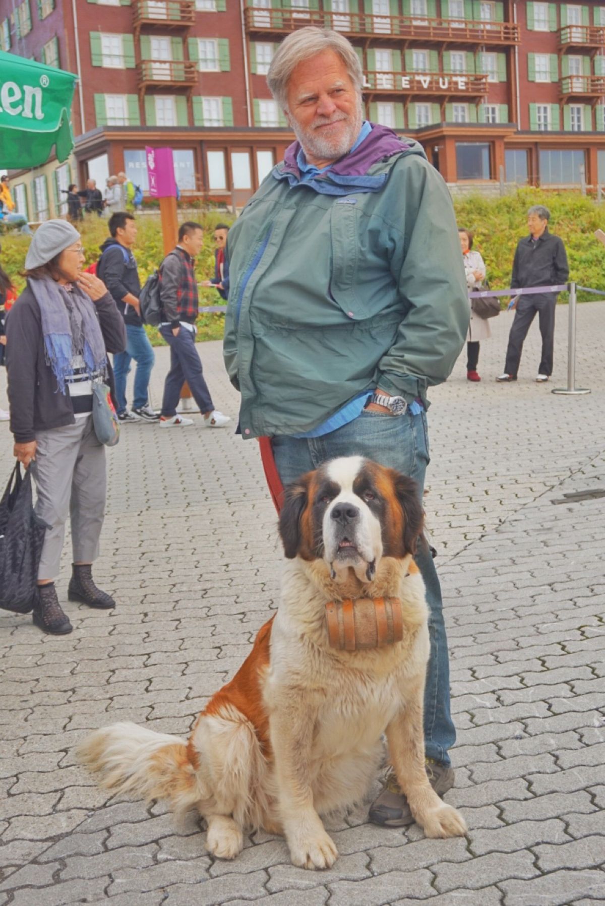 20th Sep. 2016 pic📷

Kleine Scheidegg...