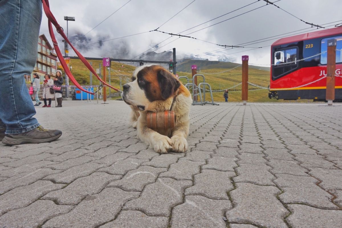 20th Sep. 2016 pic📷

Kleine Scheidegg...