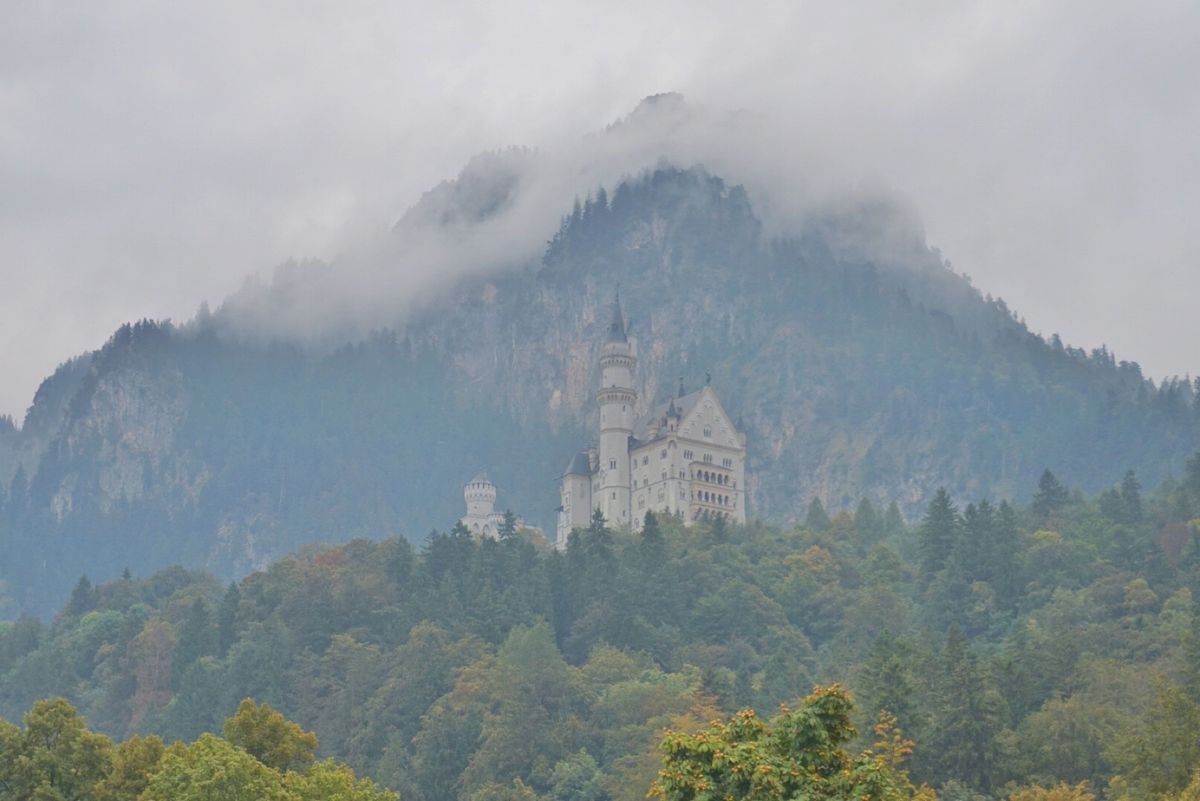 22nd Sep. 2016 pic📷

目指すは...
190cmの超絶...