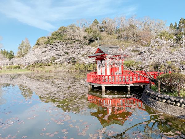 日本「千葉」の写真