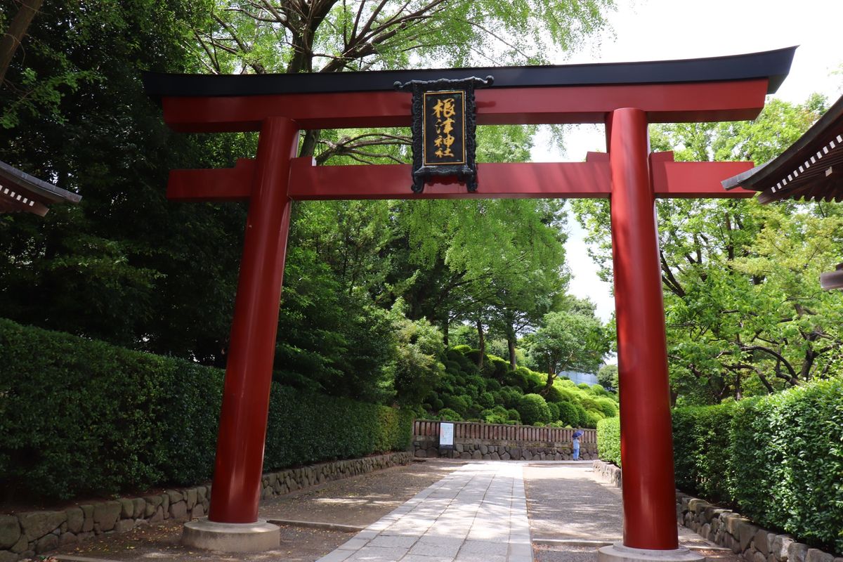 
好きになったきっかけ
根津神社

遠くに住んでても通うくらいに好き
紫陽...