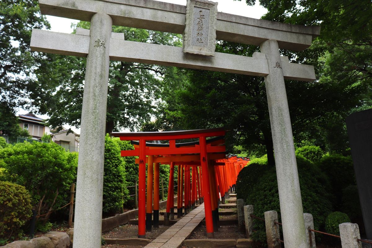 
好きになったきっかけ
根津神社

遠くに住んでても通うくらいに好き
紫陽...