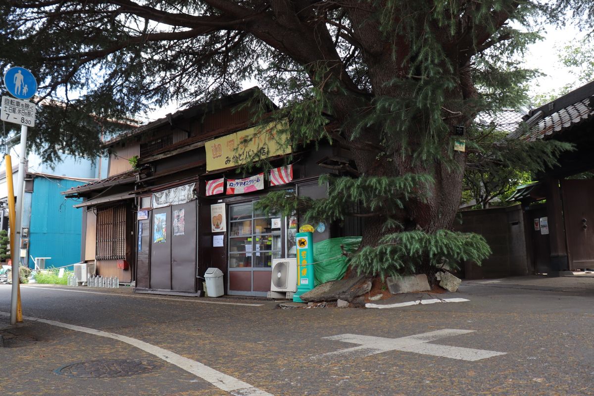 
谷根千っぽい

カヤバ珈琲は人気店
雰囲気ももちろん珈琲も美味しい

