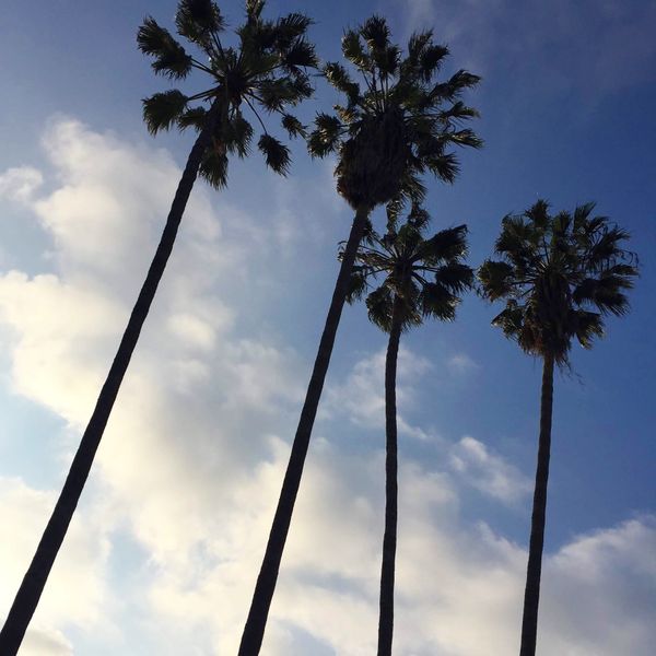 アメリカ(米国)・ハワイ「ハワイ家族旅行」の写真