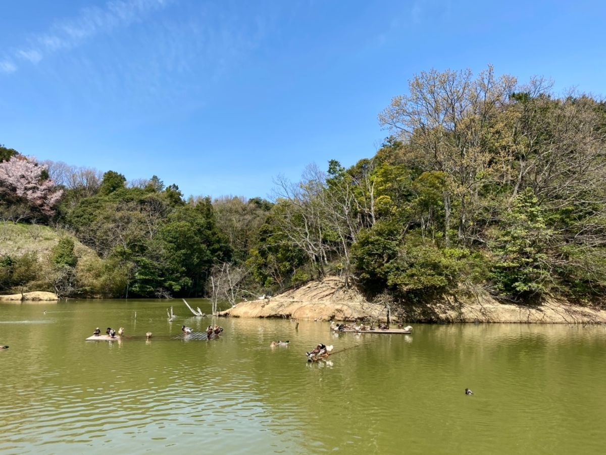 電車に遅れそうでバタバタとしか通過できなかったけど
のどかな雰囲気で癒された