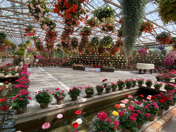 日本・松江「お財布忘れた島根出張」の写真：松江フォーゲルパーク花鳥園

長い長いエ...