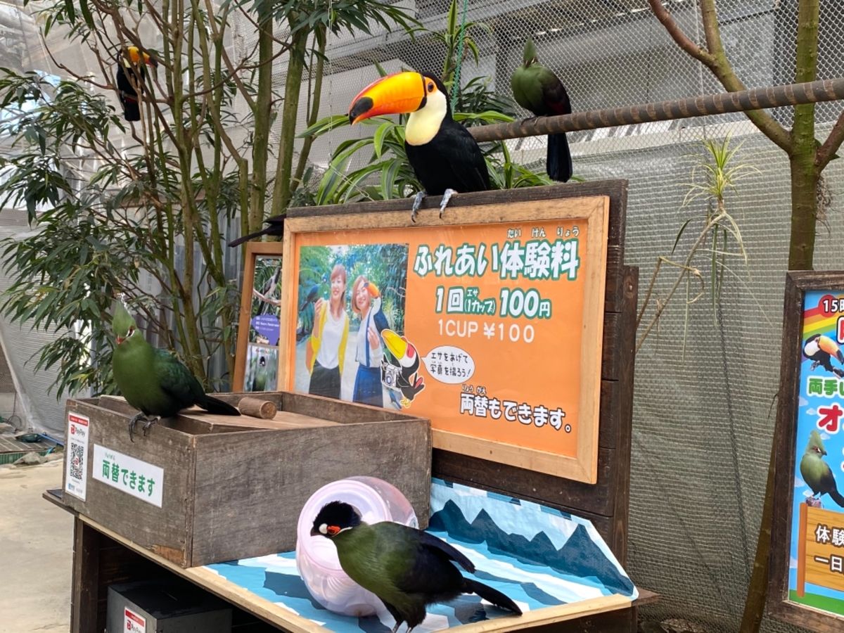 当然のように金に物言わせて
餌やり体験した😍

可愛いすぎる😍