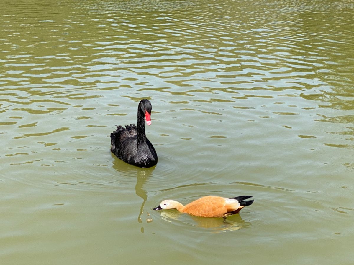 電車に遅れそうでバタバタとしか通過できなかったけど
のどかな雰囲気で癒された