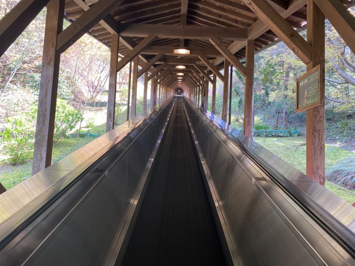 松江フォーゲルパーク花鳥園

長い長いエスカレーターと展望台を過ぎたら
ト...