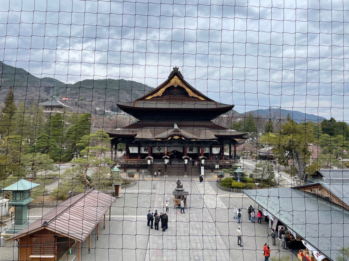 善光寺と東山魁夷館に行ってきました。