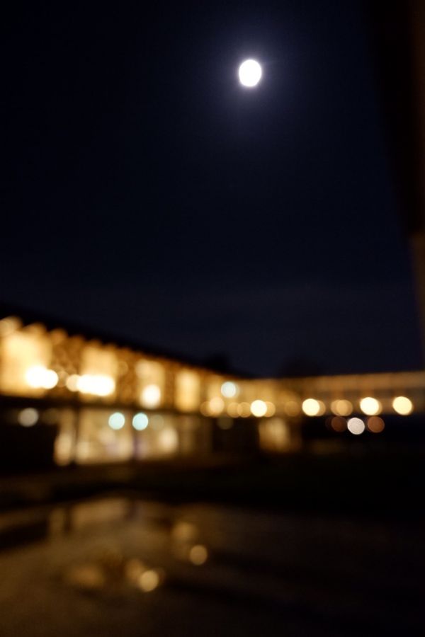 日本・鶴岡市「ひきこもり旅」の写真：スイデンテラス
さいこーに癒し