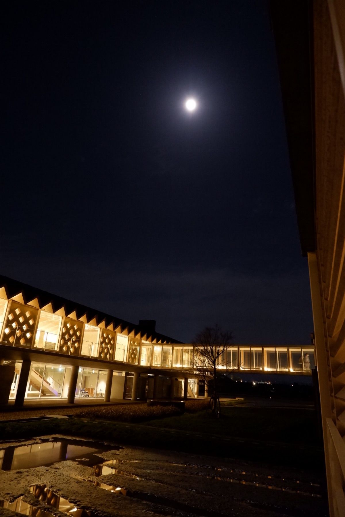 スイデンテラス
さいこーに癒し