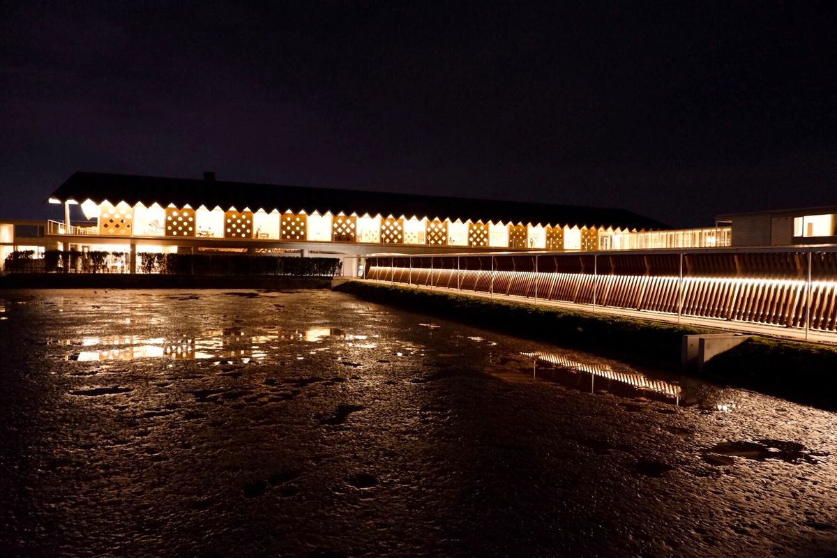 スイデンテラス
さいこーに癒し