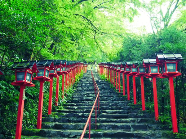 日本・静岡県「京都･広島 旅行」の写真