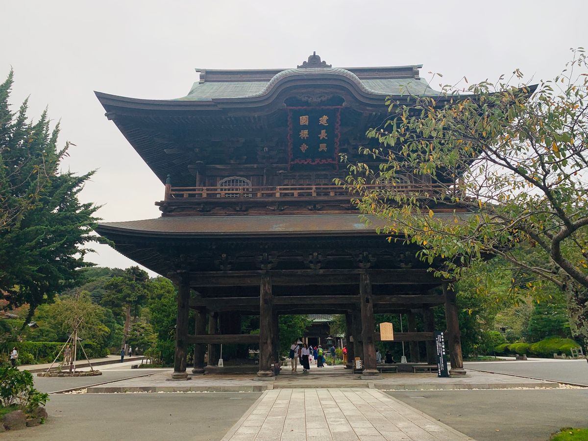 
ちゃんとカメラを持っていかなかったのが悔やまれる

