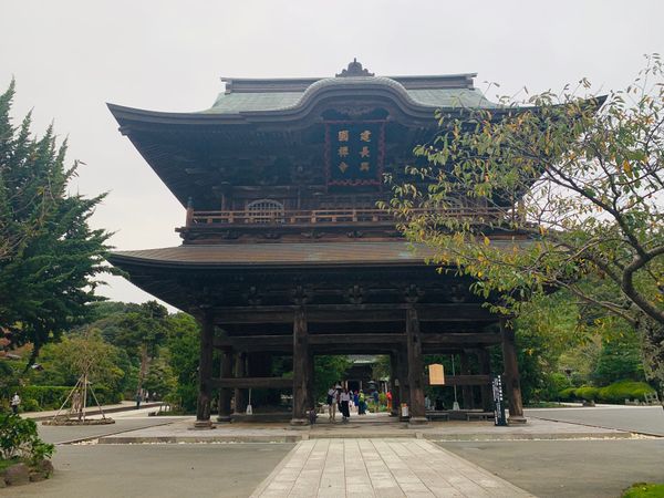 日本・鎌倉「鎌倉-ひとり暮らしの地に両親が来訪」の写真：
ちゃんとカメラを持っていかなかったのが...