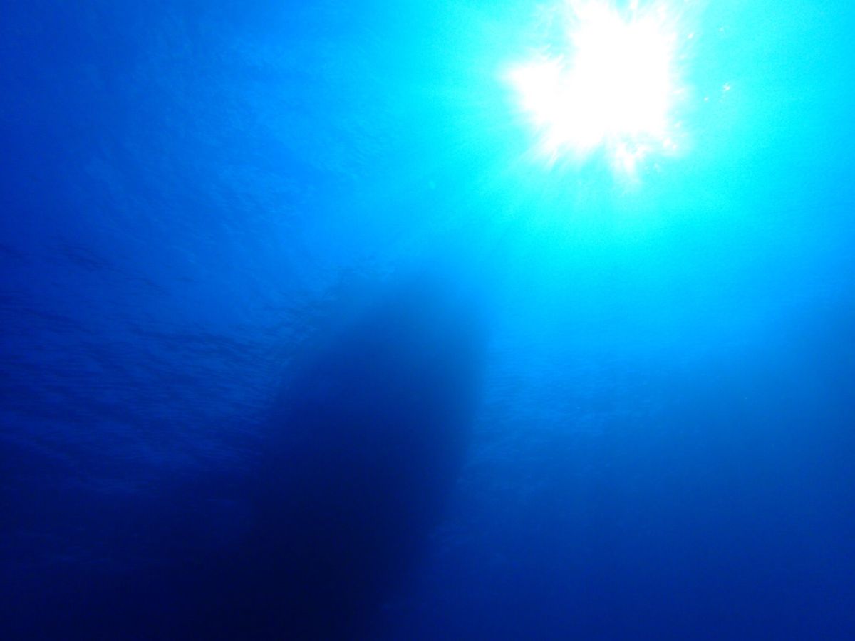 ブロッケン現象を見れた人には
幸せが訪れるってジンクスあるから
ご覧になっ...