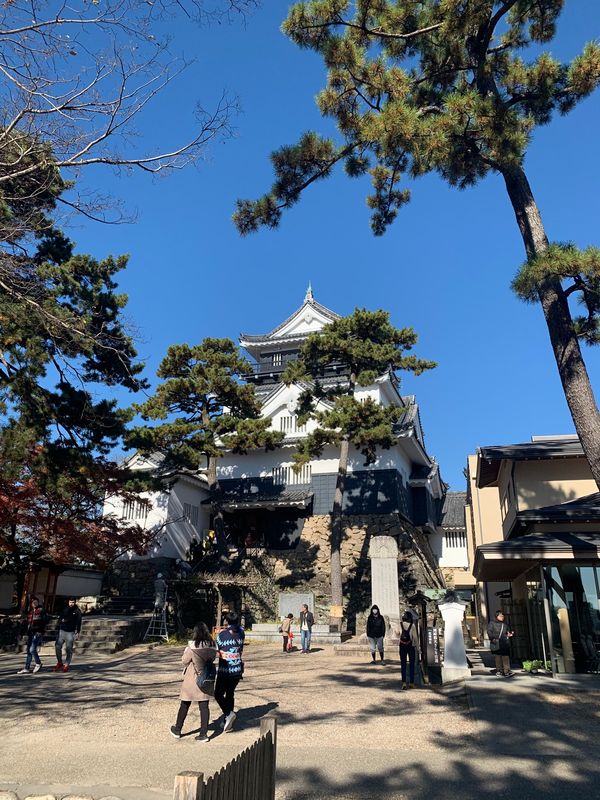 日本・愛知「愛知-おじいちゃんおばあちゃんに会いにいく旅」の写真：
あんまりお城見えないね

