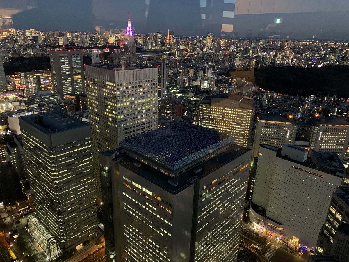 
都庁に初めて登った

初めて都庁に行ったのはパスポートの申請のときで、
...