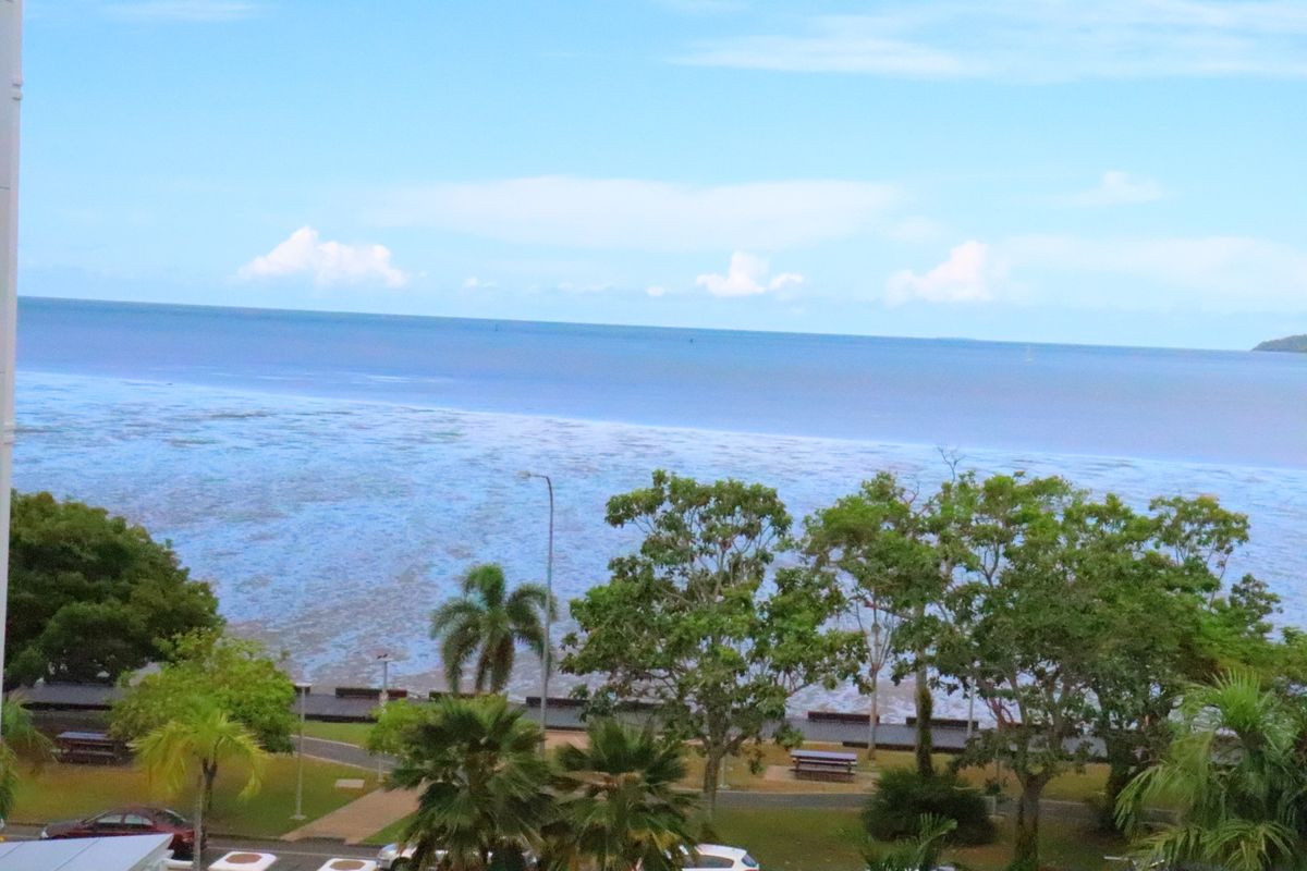 
夜散歩した時と朝方の散歩

環境が変わると少しの物音とかでも起きちゃうし...