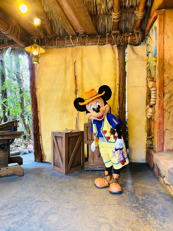 日本・千葉県「ディズニー&amp;東京タワー」の写真