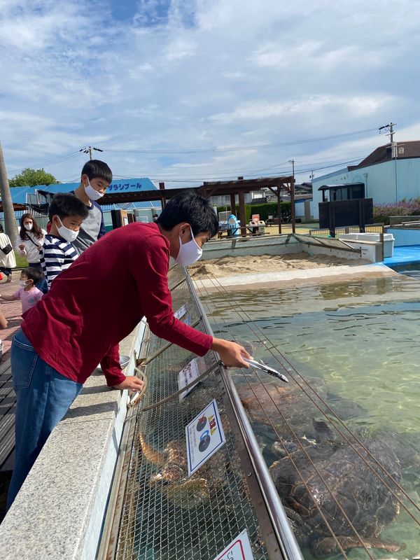 日本・愛知県「ビーチランド」の写真