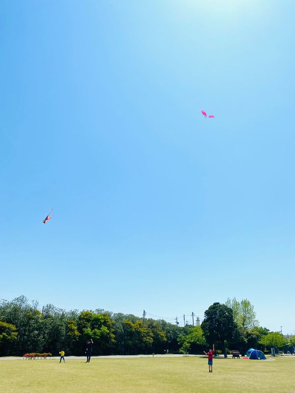 日本・碧南市「臨海公園」の写真