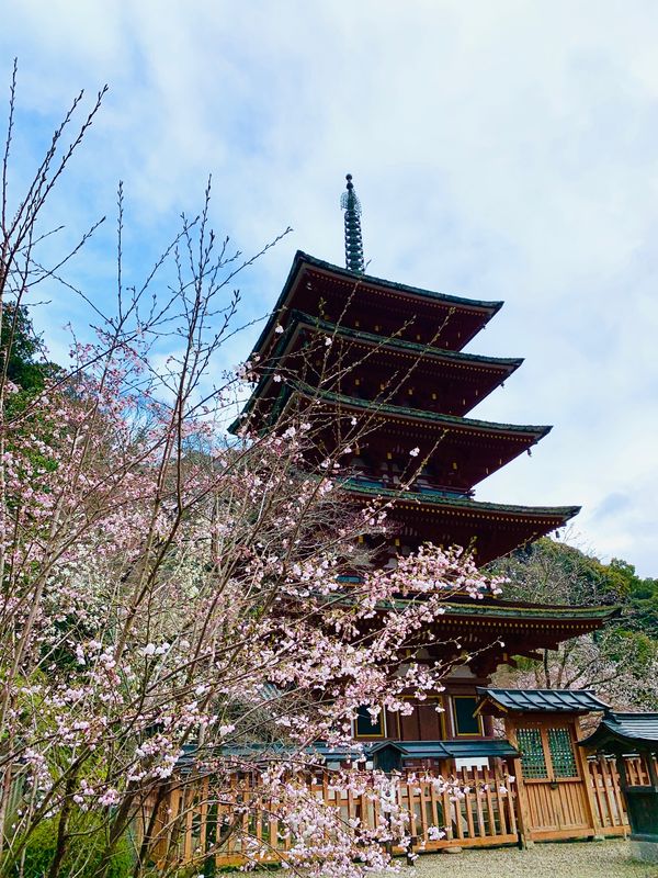 日本・奈良県「長谷寺&amp;千寿亭&amp;東大寺」の写真