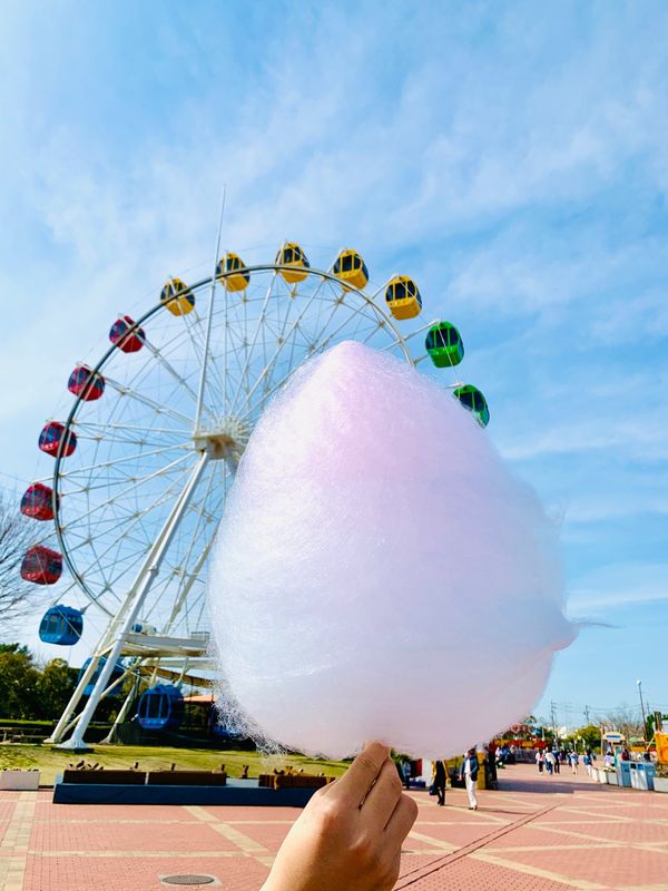 日本・碧南市「明石公園」の写真