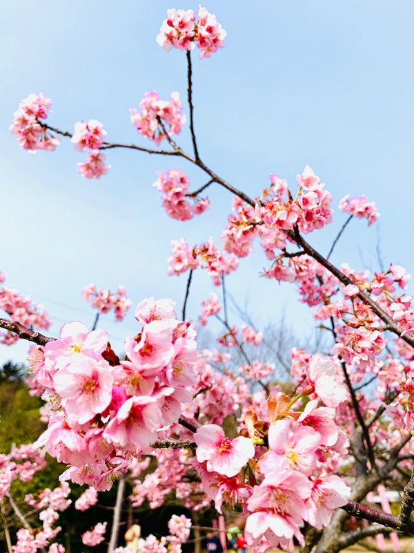 日本・大府市「みどり公園」の写真