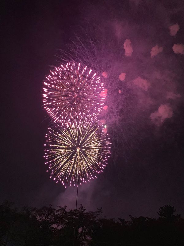 日本・東海市「大池公園　花火」の写真
