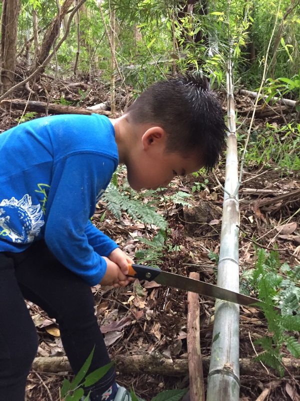 日本・美浜町「里山」の写真