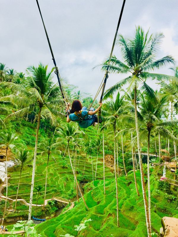 インドネシア・バリ「シンガポール&バリ島9日間」の写真