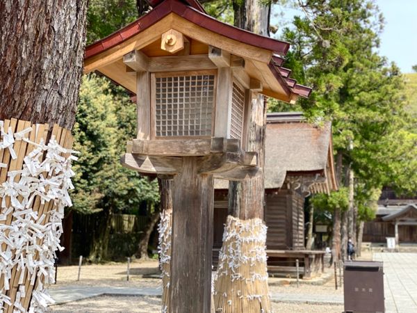 日本・島根県「島根出張を満喫」の写真：出雲大社では
学生さん達がたくさん写生し...
