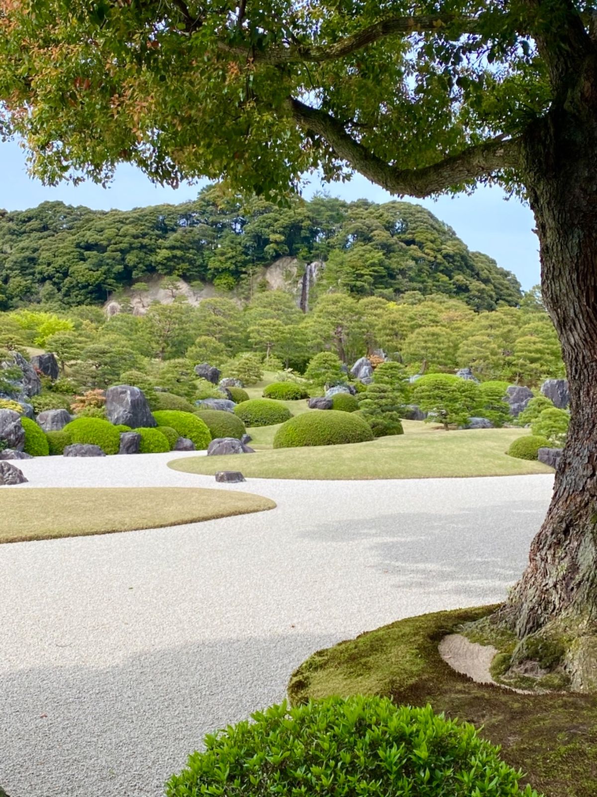 足立美術館の日本庭園は
さすが有名なだけあって
よくお手入れされてる！

...