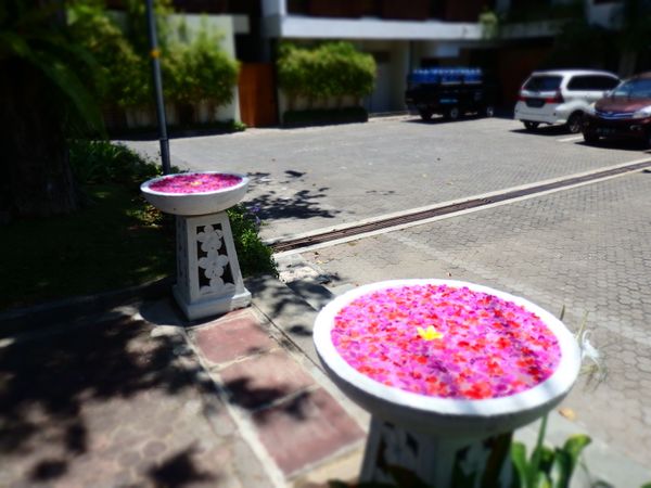 インドネシア・バリ島「バリ島で自然を感じる旅」の写真：ホテルからビーチに向かう普通の道のりでも...