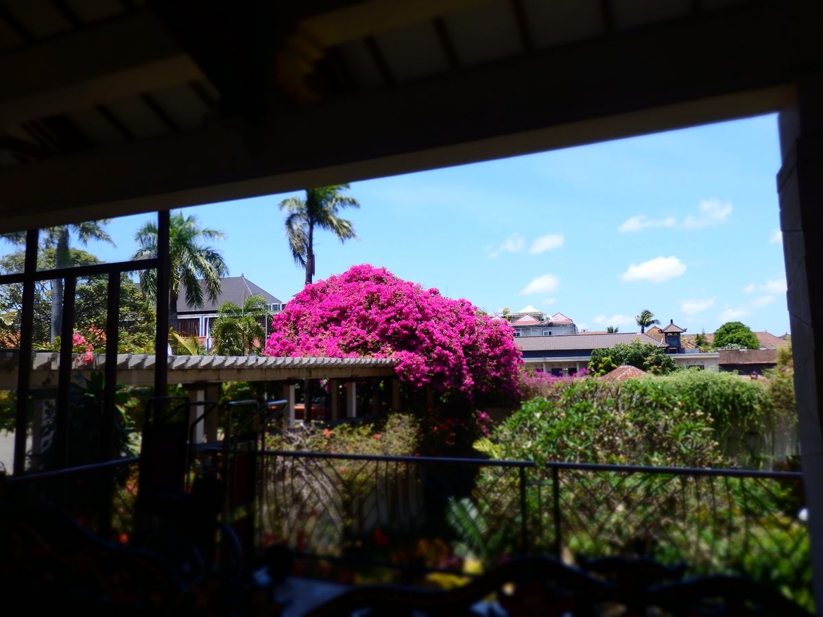 ホテルからビーチに向かう普通の道のりでもすでにバリの良さや雰囲気が出まくり...