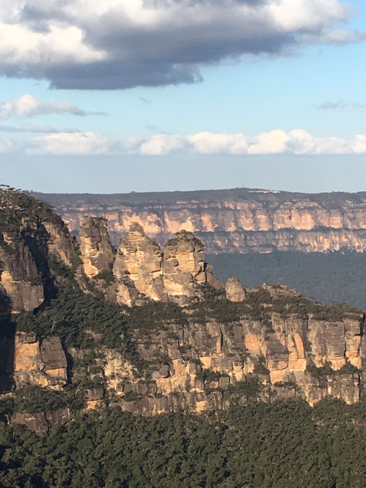 シドニーからの日帰り旅行、ブルーマウンテンへ