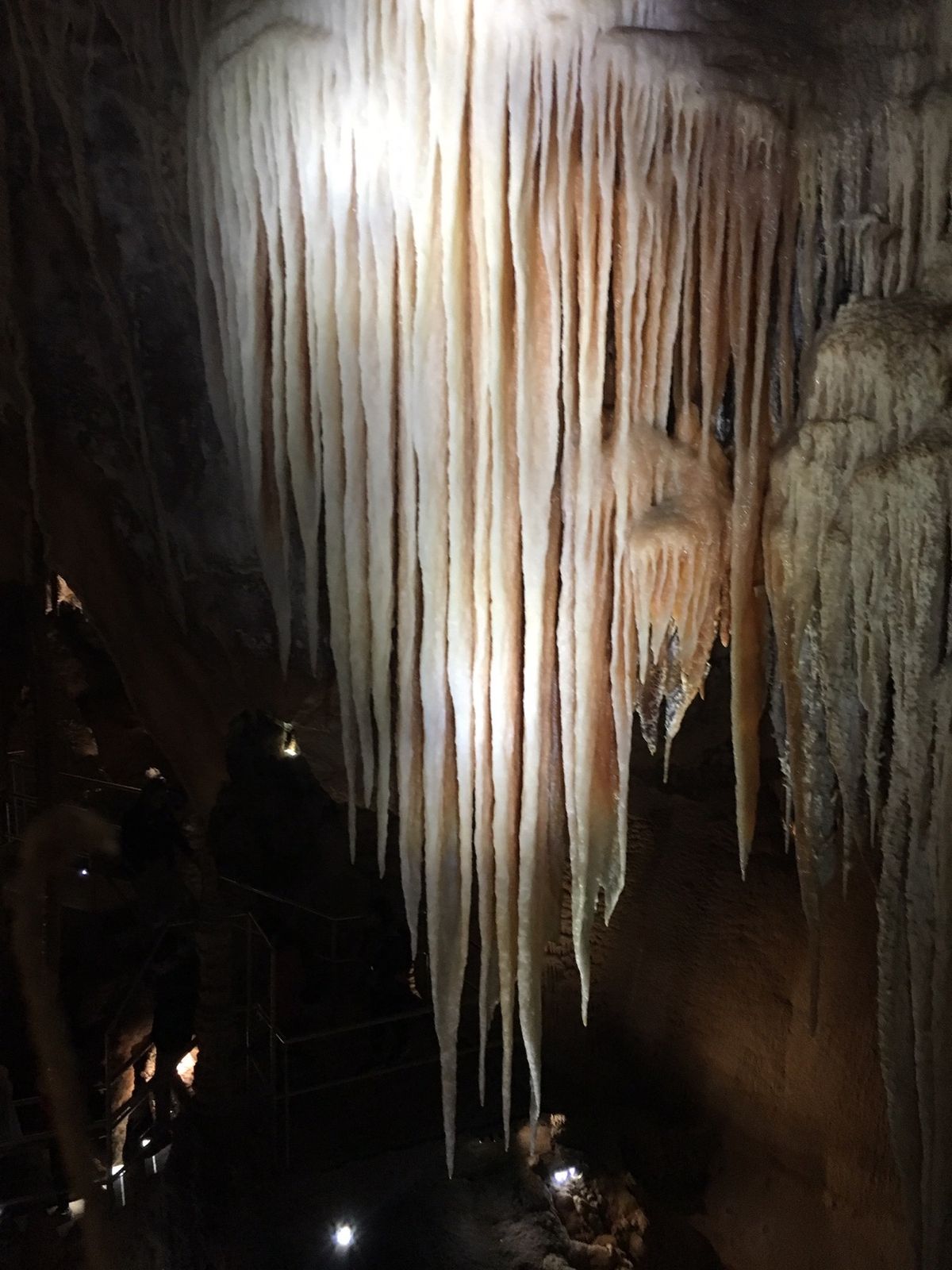 シドニーからの日帰り旅行、ブルーマウンテンへ