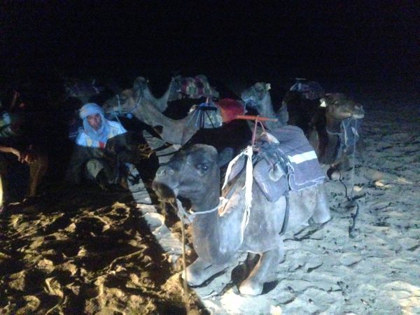 モロッコ「憧れの砂漠モロッコ」の写真：🐫サハラ砂漠🐫

砂漠から車で15分〜2...