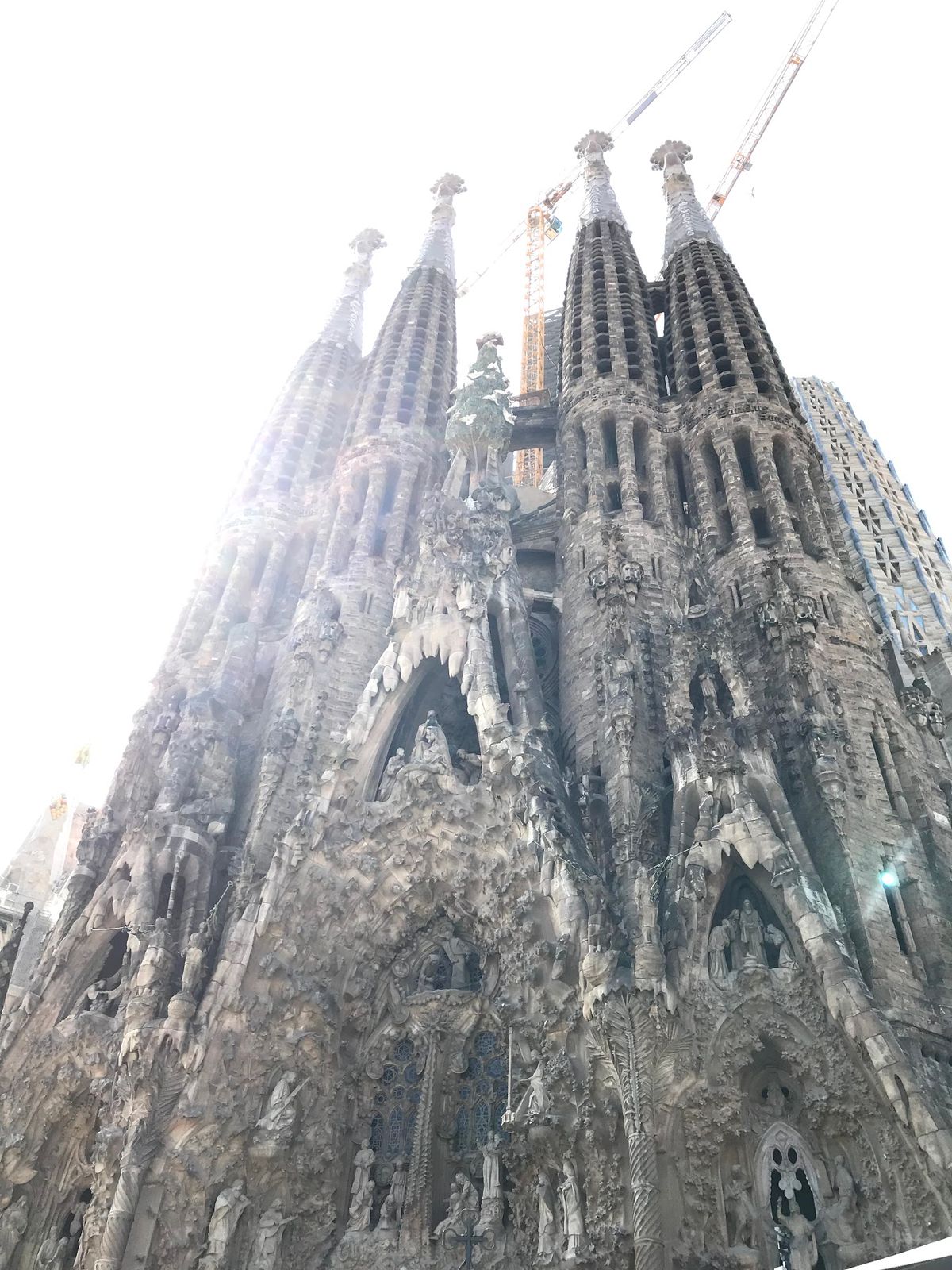 ライオンに乗ったおバカな子
最前列でメッシ⚽️
ど迫力のサクラダファミリア...