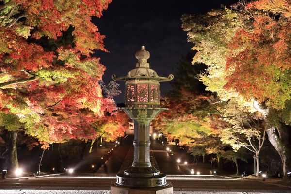 日本・京都「仁和寺紅葉ライトアップ」の写真：世界遺産のライトアップ