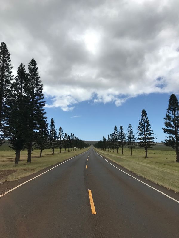 アメリカ(米国)「Lanai 1day trip」の写真