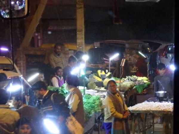 インド「北インド」の写真：ここはデリー付近です😊インドの夜はまた昼...